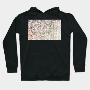 Abstract Ice on Window Hoodie